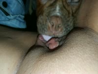 Deep pussy licking